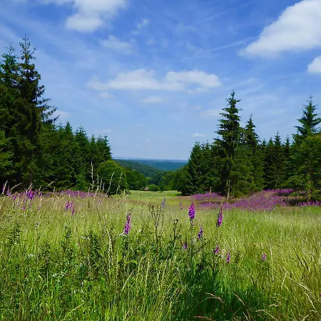 Natururlaub Frankenau Exterior foto